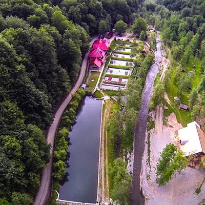 Restaurant Pastravaria Bratioara foto 0