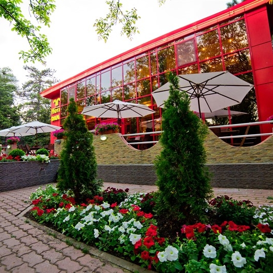 Imagini Restaurant Dana