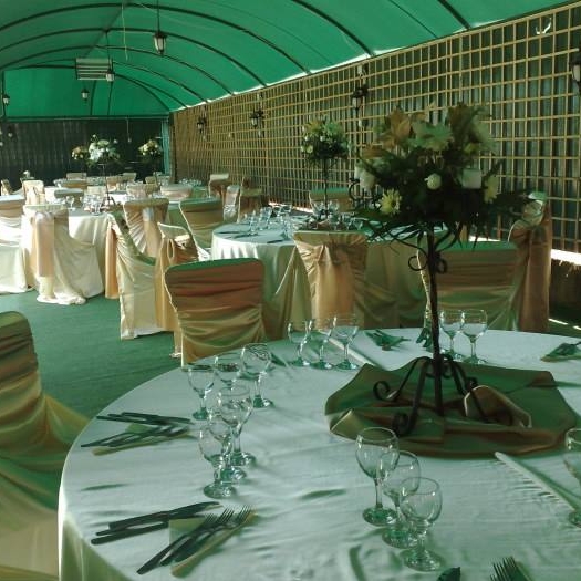 Imagini Restaurant Artemis