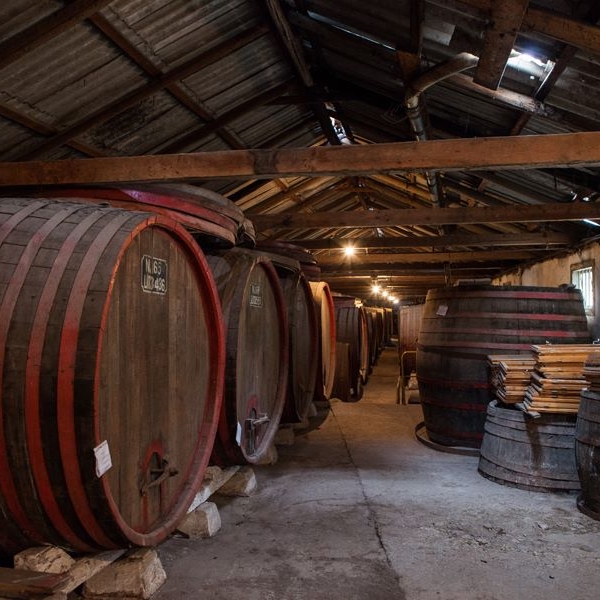 Imagini Restaurant Domeniul Manasia