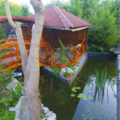 Imagini Restaurant Rony