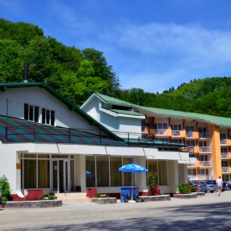 Imagini Restaurant Tismana