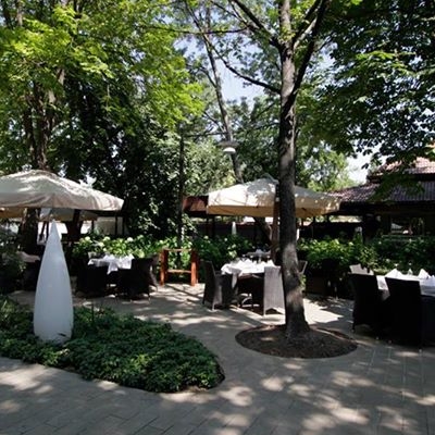 Restaurant Casa Doina