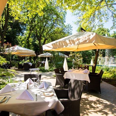 Imagini Restaurant Casa Doina