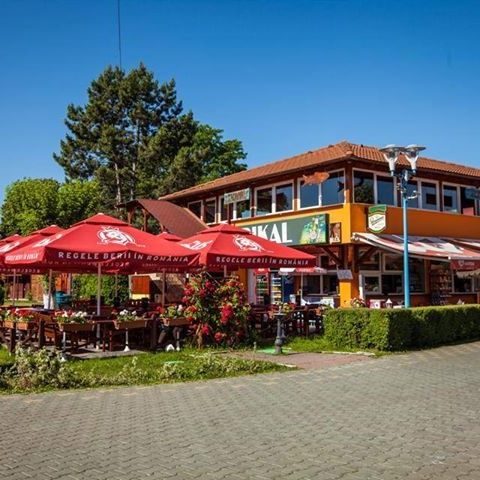 Imagini Restaurant Tropikal