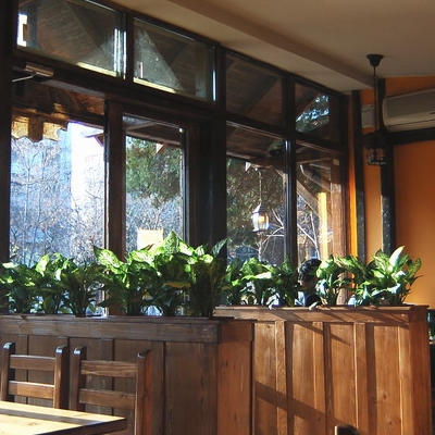 Bar/Pub Filos foto 2