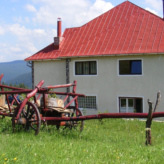 Imagini Restaurant Rom Concord