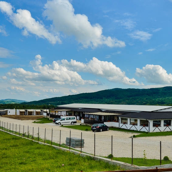 Imagini Restaurant Doi Cocoși