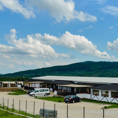 Restaurant Doi Cocoși