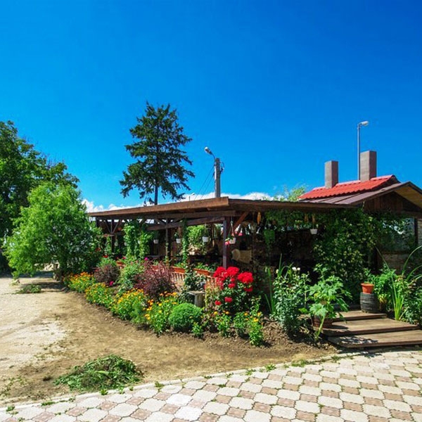 Imagini Restaurant Tara Barsei