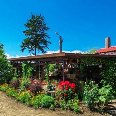 Restaurant Tara Barsei