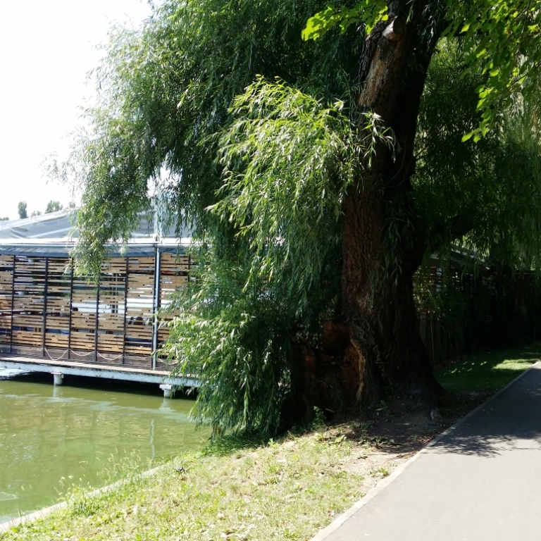 Imagini Restaurant Biutiful by the Lake