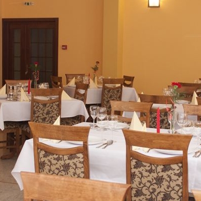 Restaurant Vila Ursu foto 1