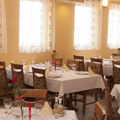 Restaurant Vila Ursu foto 2