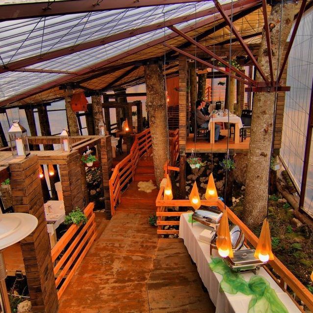 Imagini Restaurant Forest