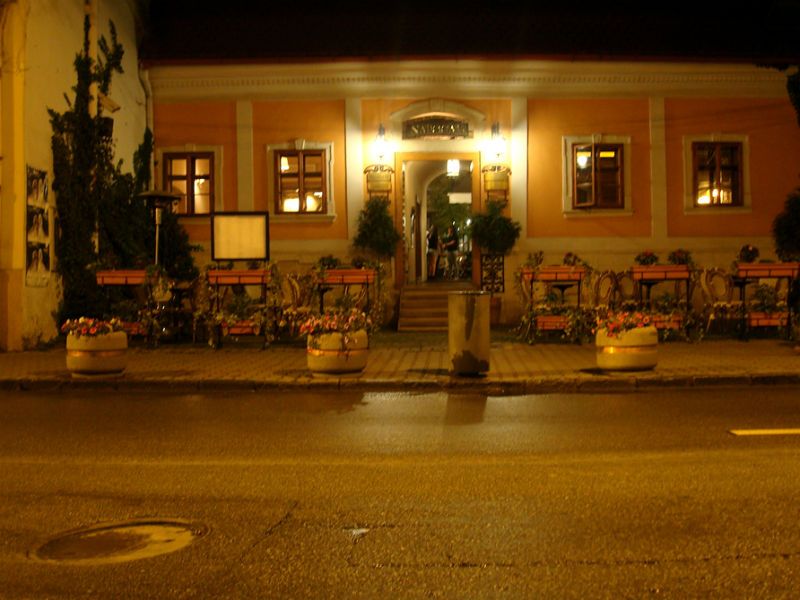 Imagini Restaurant Napoca 15