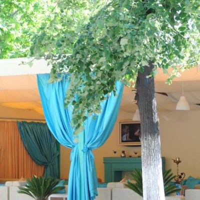 Bar/Pub Cafe Relax foto 0