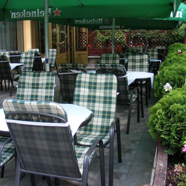 Imagini Restaurant Silva