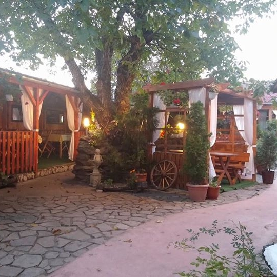 Imagini Restaurant Casa Damian