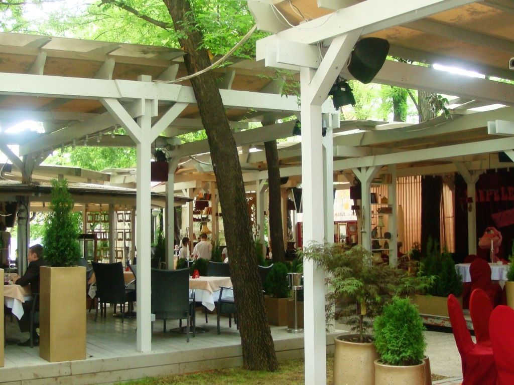 Imagini Restaurant Sarpele Roz