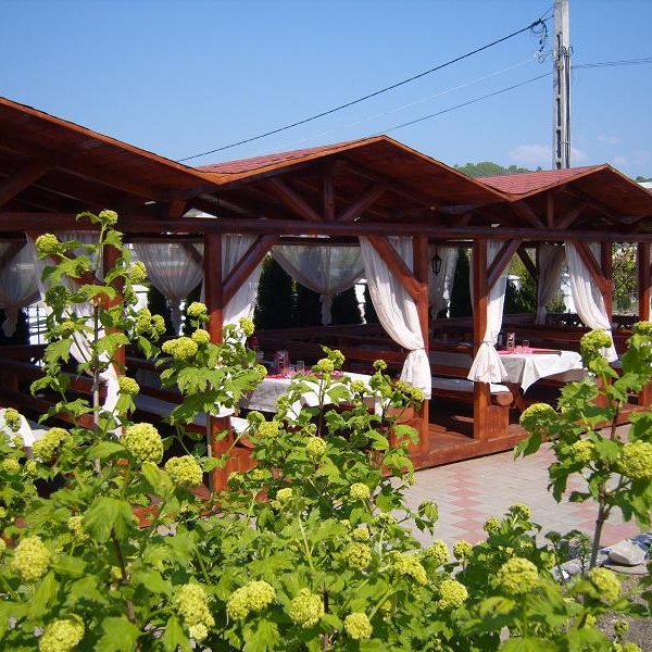 Imagini Restaurant Miracolo