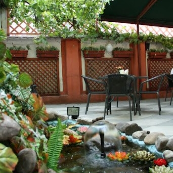 Imagini Restaurant Noel