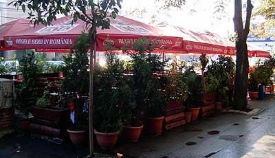 Imagini Restaurant Pescarul