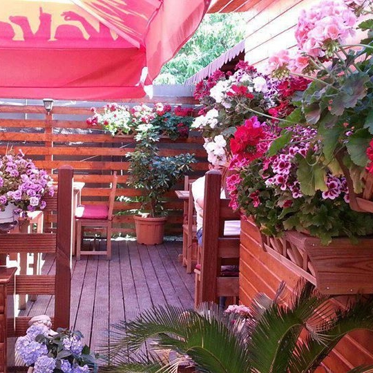 Imagini Pizzerie Expert