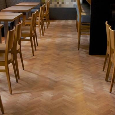 Club Sportiv Transilvania