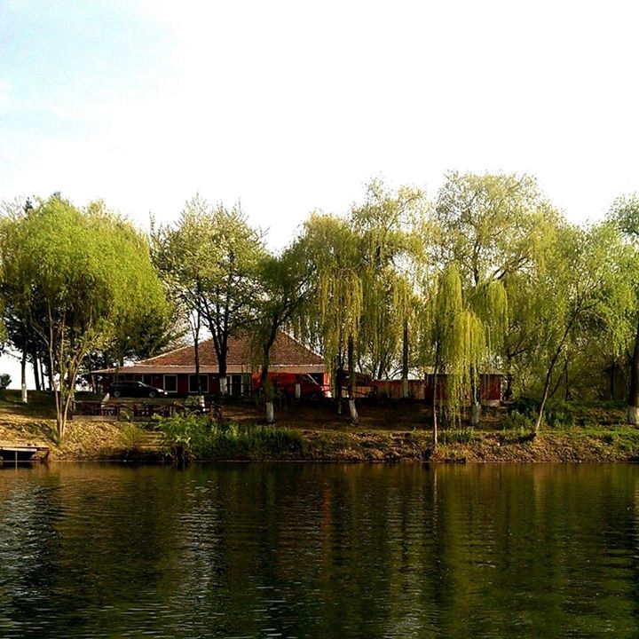 Imagini Restaurant Pescarusul