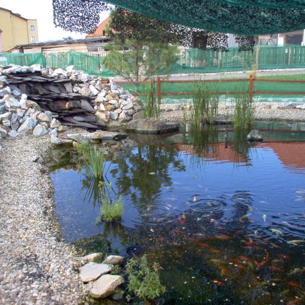 Imagini Restaurant Miraj