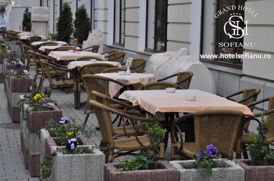 Imagini Restaurant ART