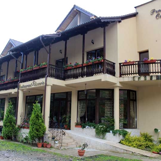 Imagini Restaurant Onelia