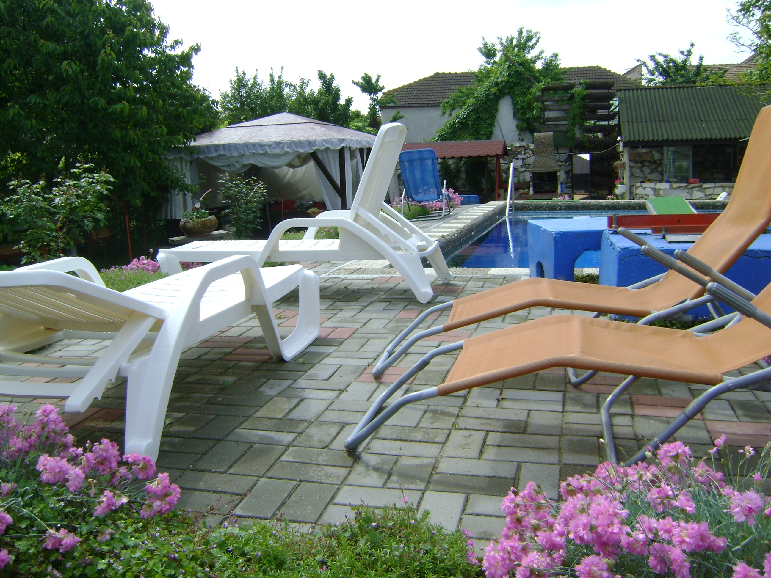 Imagini Restaurant Yes