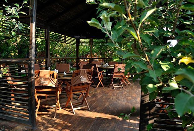 Imagini Restaurant Oscar