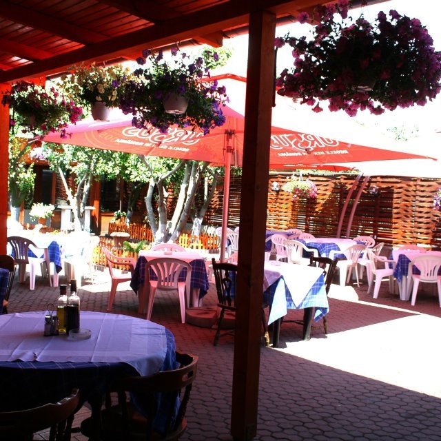 Imagini Pizzerie La Dolce Vita