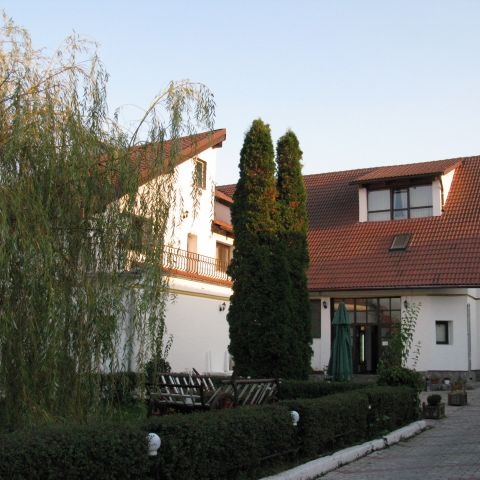 Imagini Restaurant Dynasty