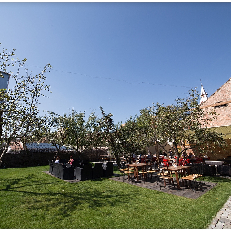 Imagini Restaurant Art Club