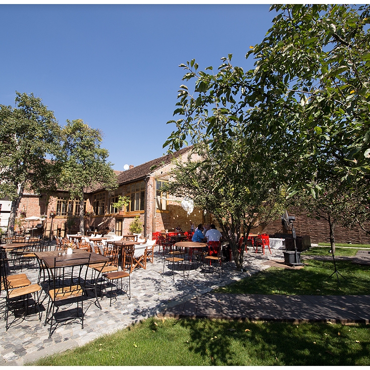 Imagini Restaurant Art Club