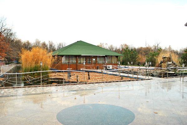 Imagini Restaurant Mara