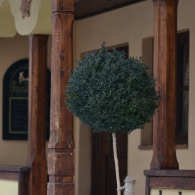 Restaurant Toscany foto 2