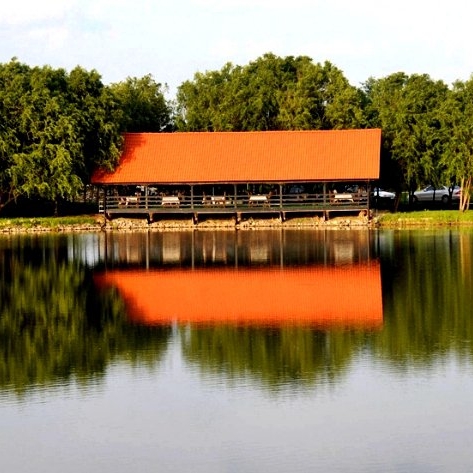 Imagini Restaurant Flonta