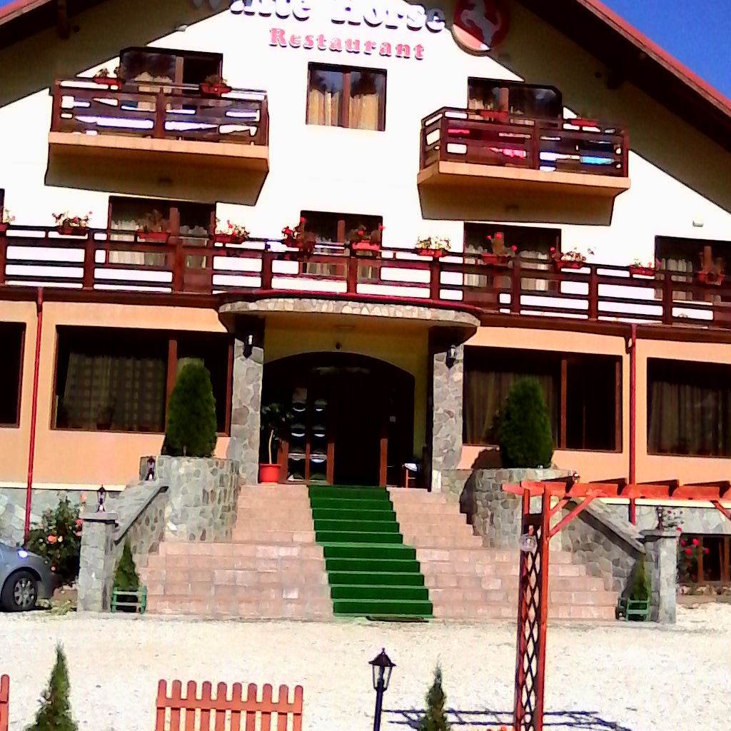 Imagini Restaurant White Horse