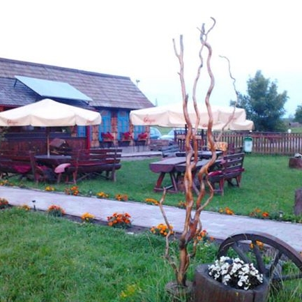 Imagini Restaurant Gliga