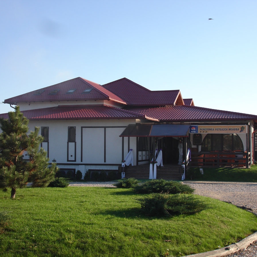 Imagini Restaurant Fetească Neagră