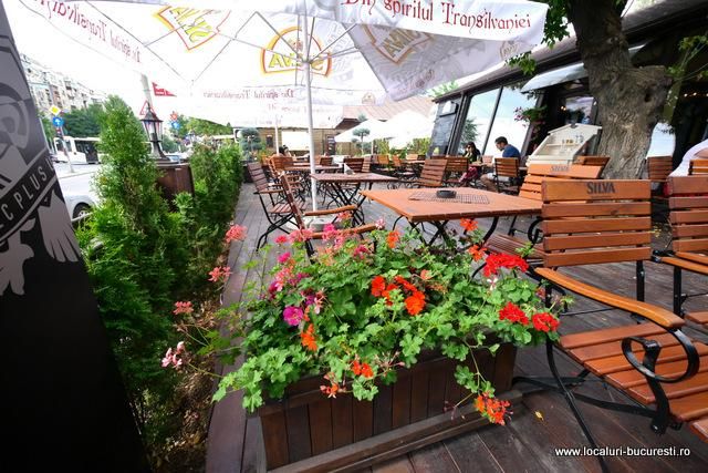 Imagini Restaurant Sole D`Italia