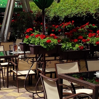 Restaurant Nabucco foto 2