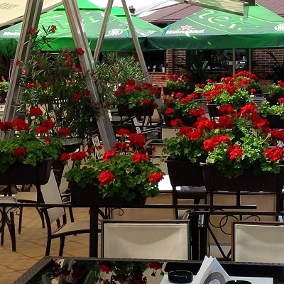 Restaurant Nabucco foto 1