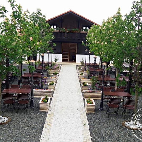 Imagini Restaurant Castel Mosnita