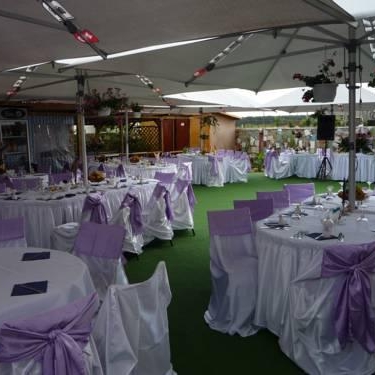 Restaurant Motanul Galanton foto 1